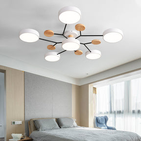 Home Decoration Ceiling Lamp