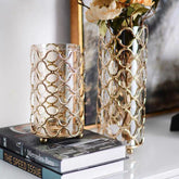 Hollow  Glass Vases